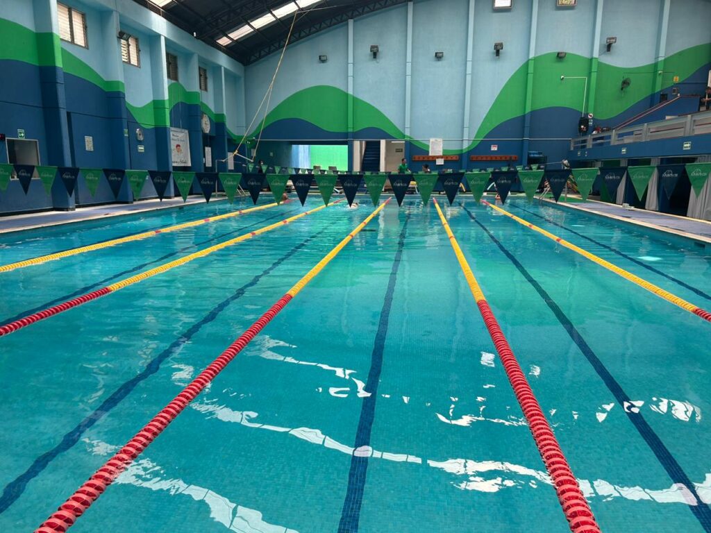 Clases de natación para niños